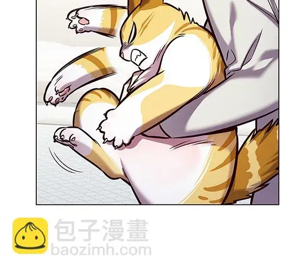 漫画《觉醒吧，铲屎官！》第200话第27张图