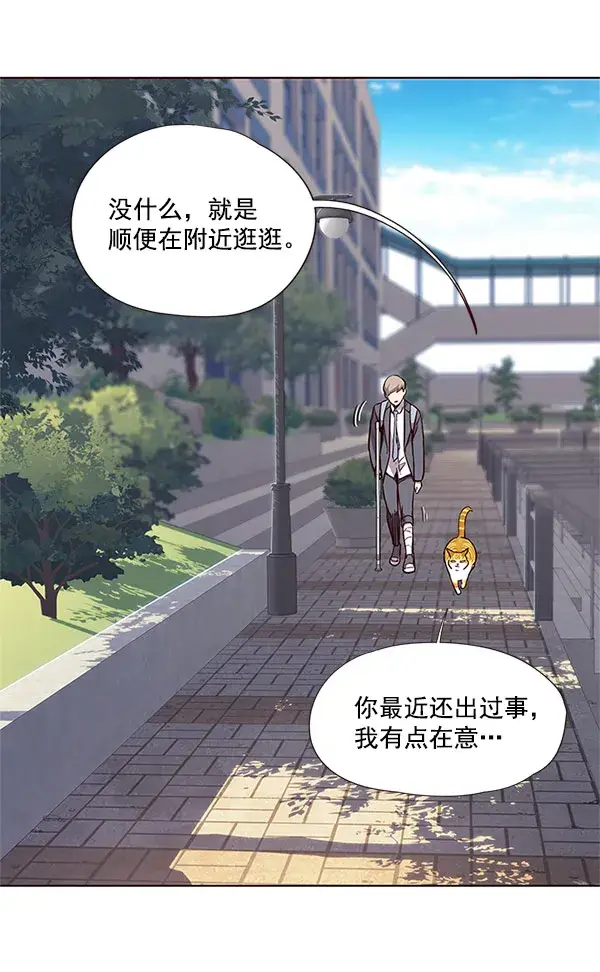漫画《觉醒吧，铲屎官！》第18话第76张图