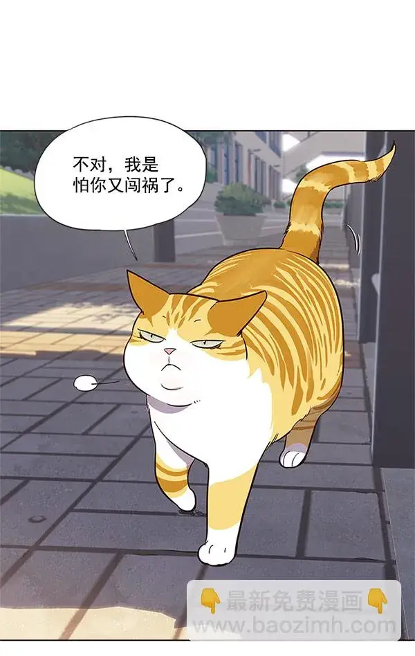 漫画《觉醒吧，铲屎官！》第18话第77张图