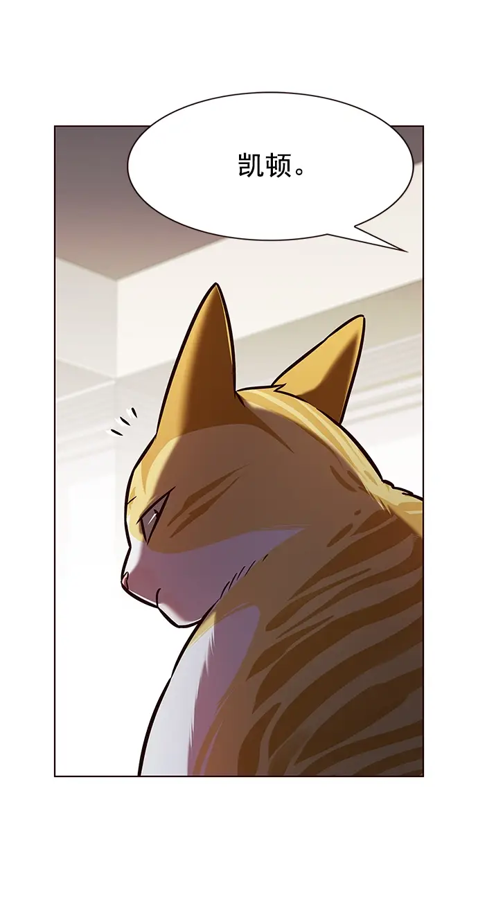 漫画《觉醒吧，铲屎官！》第214话第74张图