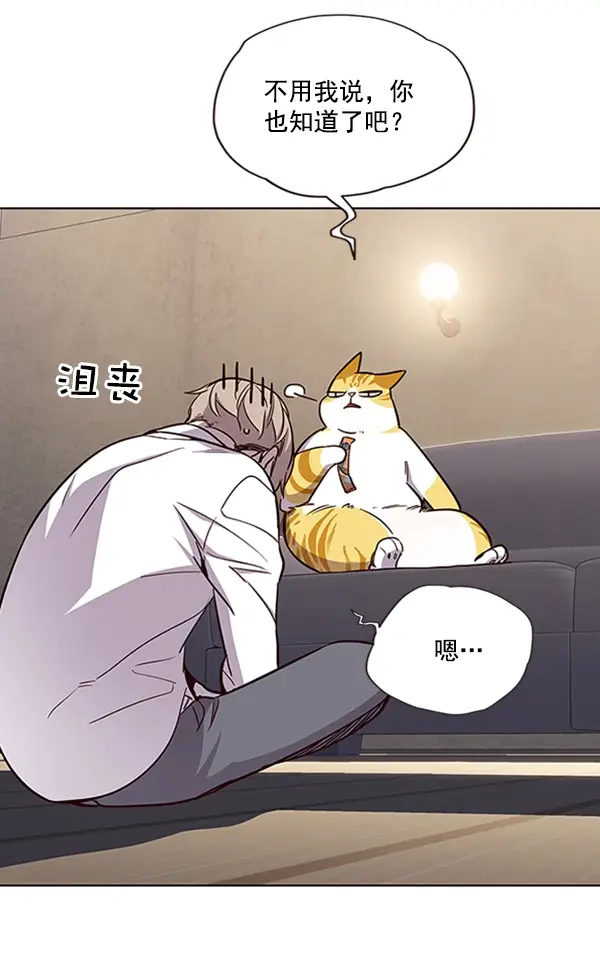 漫画《觉醒吧，铲屎官！》第19话第26张图