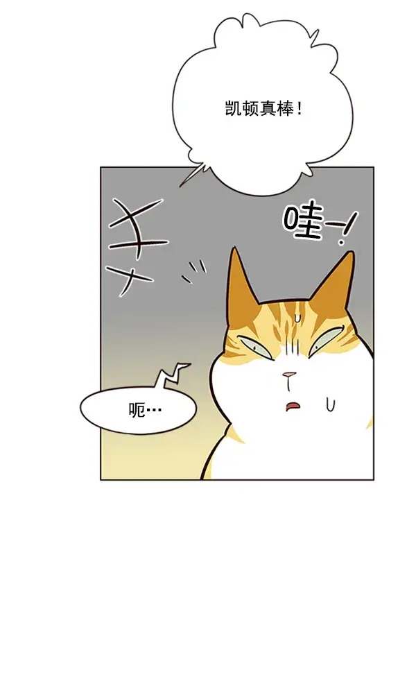 漫画《觉醒吧，铲屎官！》第19话第61张图