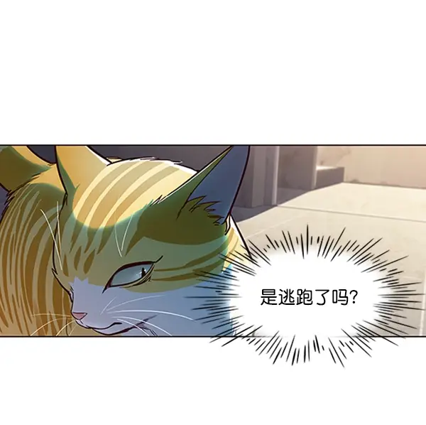漫画《觉醒吧，铲屎官！》第19话第83张图
