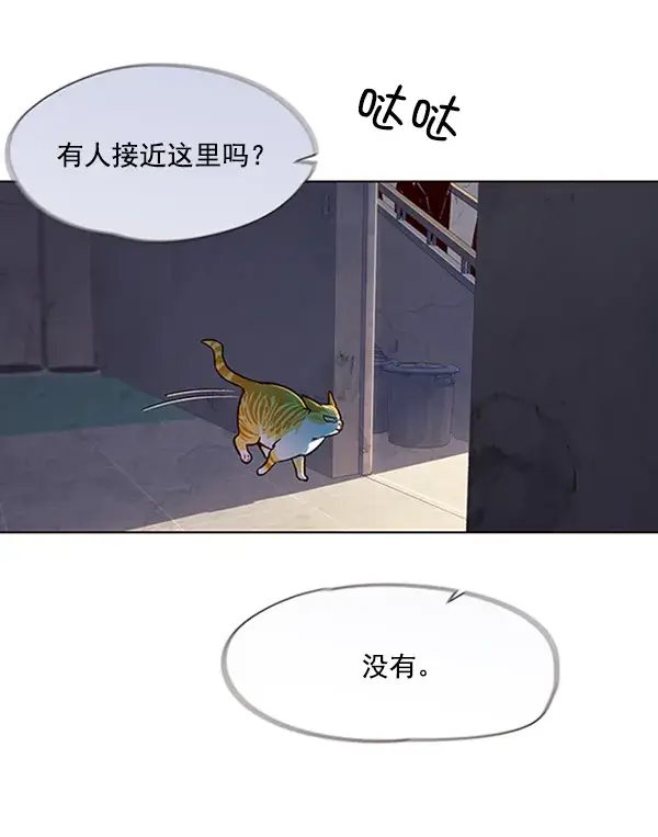 漫画《觉醒吧，铲屎官！》第19话第86张图