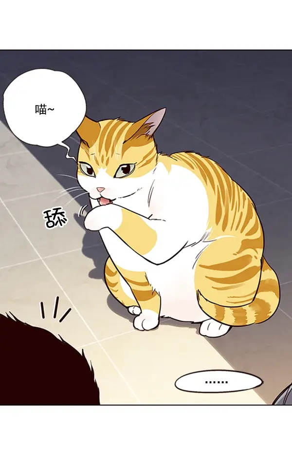 漫画《觉醒吧，铲屎官！》第19话第96张图