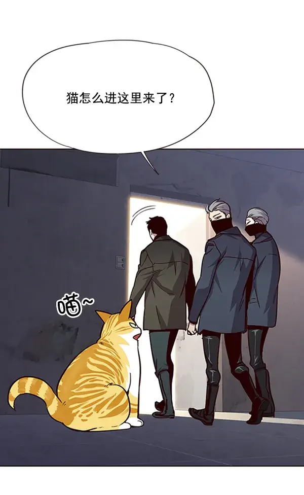 漫画《觉醒吧，铲屎官！》第19话第97张图