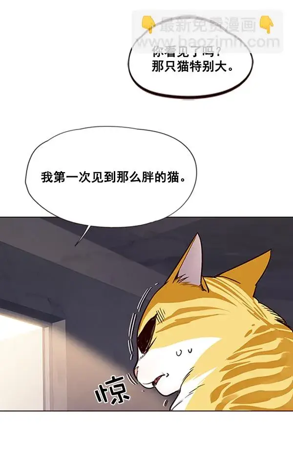 漫画《觉醒吧，铲屎官！》第19话第99张图
