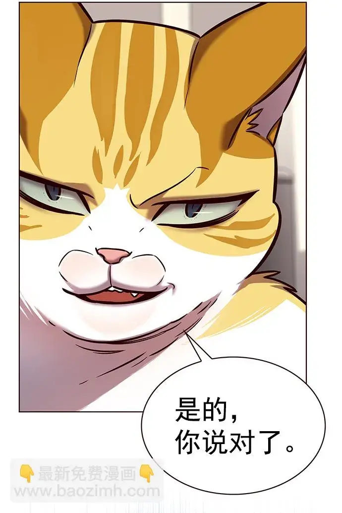 漫画《觉醒吧，铲屎官！》第218话第64张图