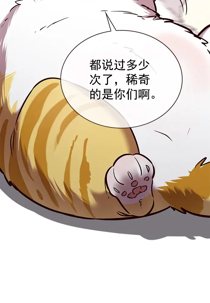 漫画《觉醒吧，铲屎官！》第225话第53张图