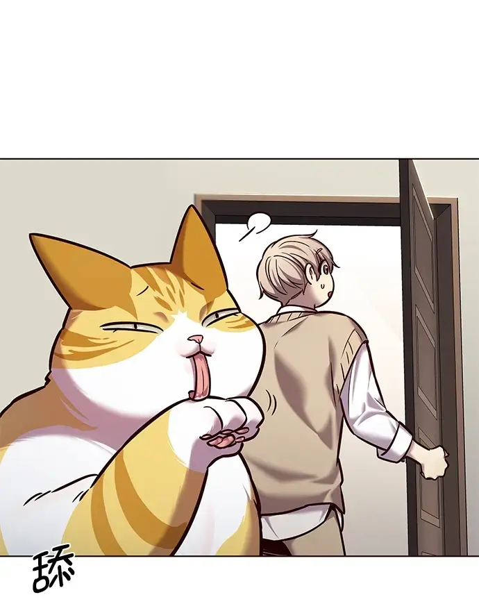 漫画《觉醒吧，铲屎官！》第228话第24张图