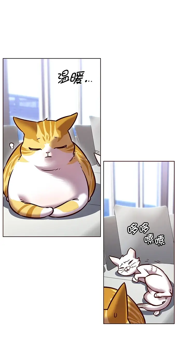 漫画《觉醒吧，铲屎官！》第229话第21张图
