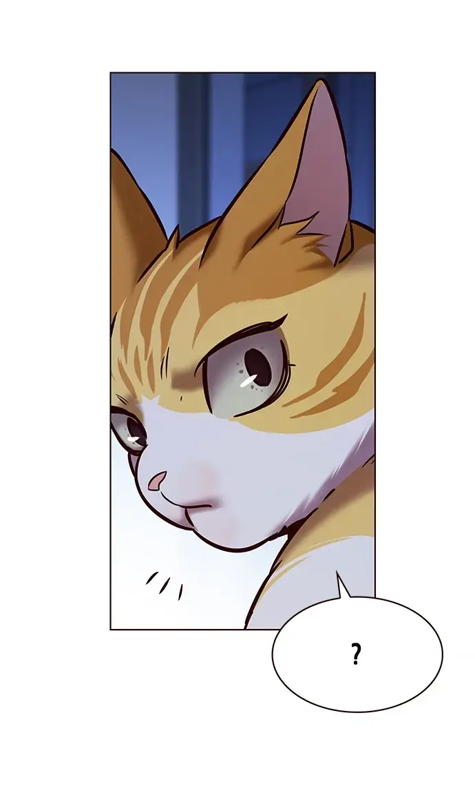 漫画《觉醒吧，铲屎官！》第229话第58张图