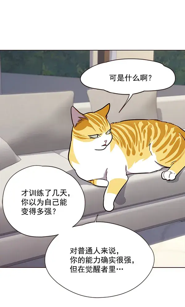 漫画《觉醒吧，铲屎官！》第21话第41张图