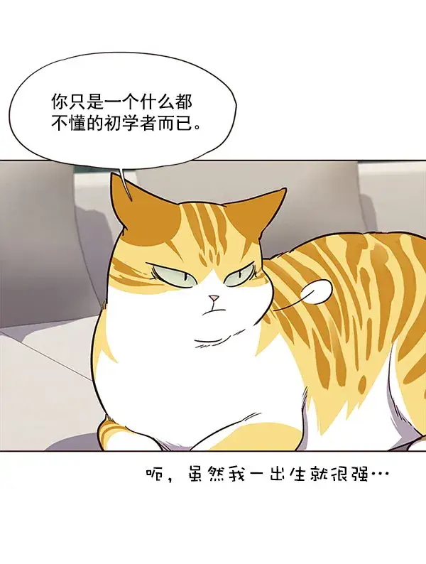 漫画《觉醒吧，铲屎官！》第21话第42张图