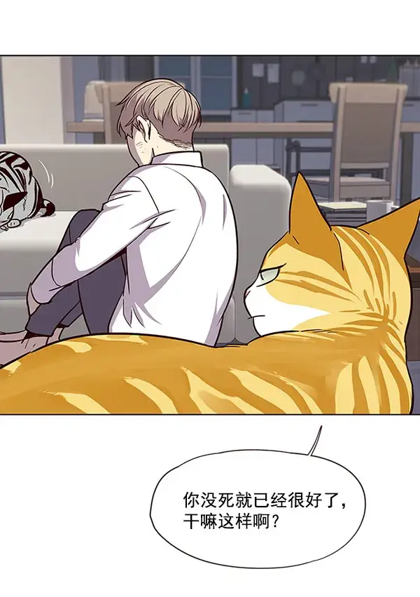 漫画《觉醒吧，铲屎官！》第21话第44张图