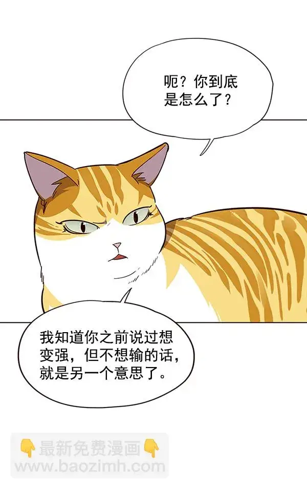 漫画《觉醒吧，铲屎官！》第21话第47张图