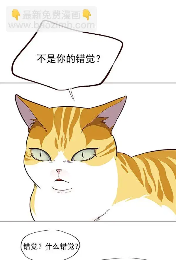 漫画《觉醒吧，铲屎官！》第21话第54张图