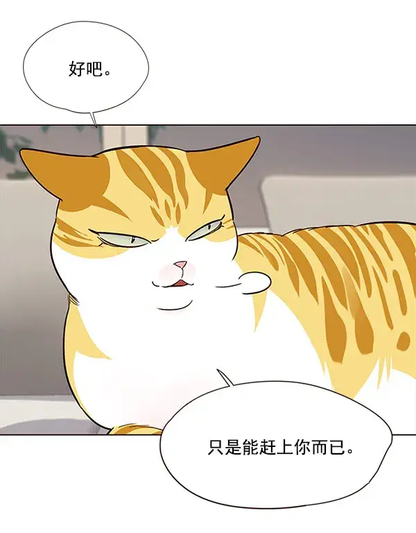 漫画《觉醒吧，铲屎官！》第21话第56张图