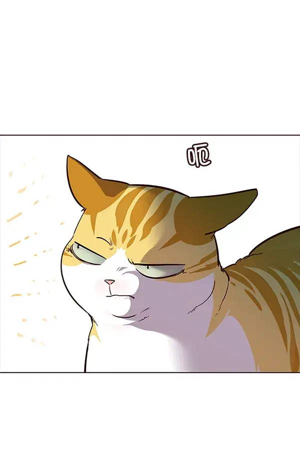 漫画《觉醒吧，铲屎官！》第21话第73张图