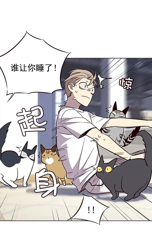 漫画《觉醒吧，铲屎官！》第21话第90张图