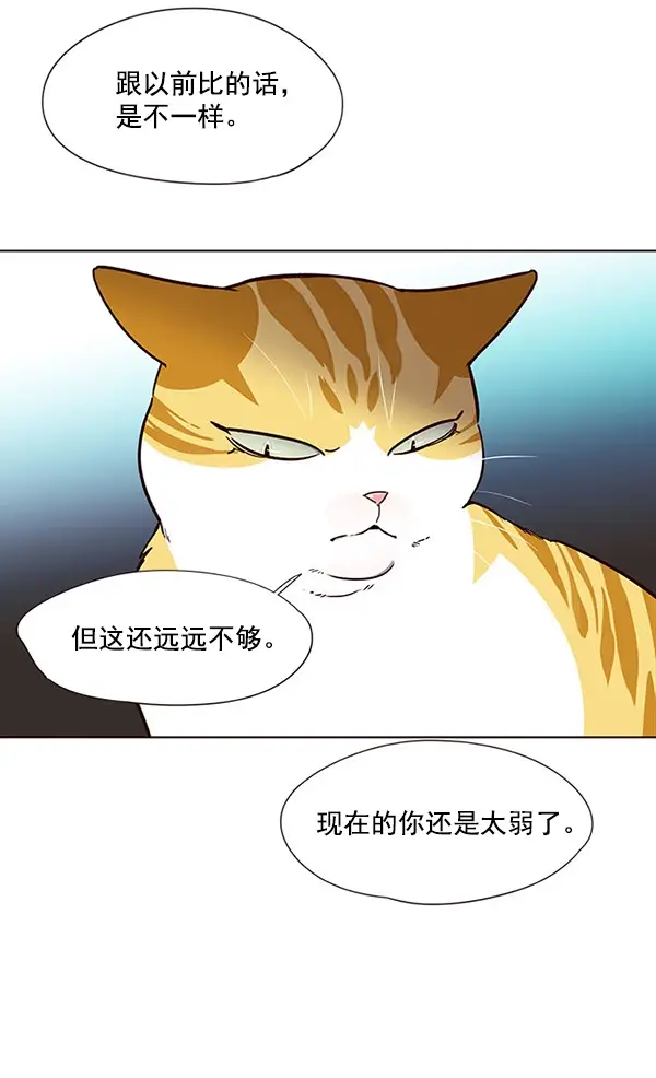漫画《觉醒吧，铲屎官！》第22话第19张图