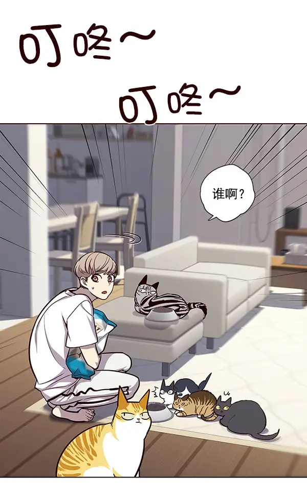 漫画《觉醒吧，铲屎官！》第22话第36张图