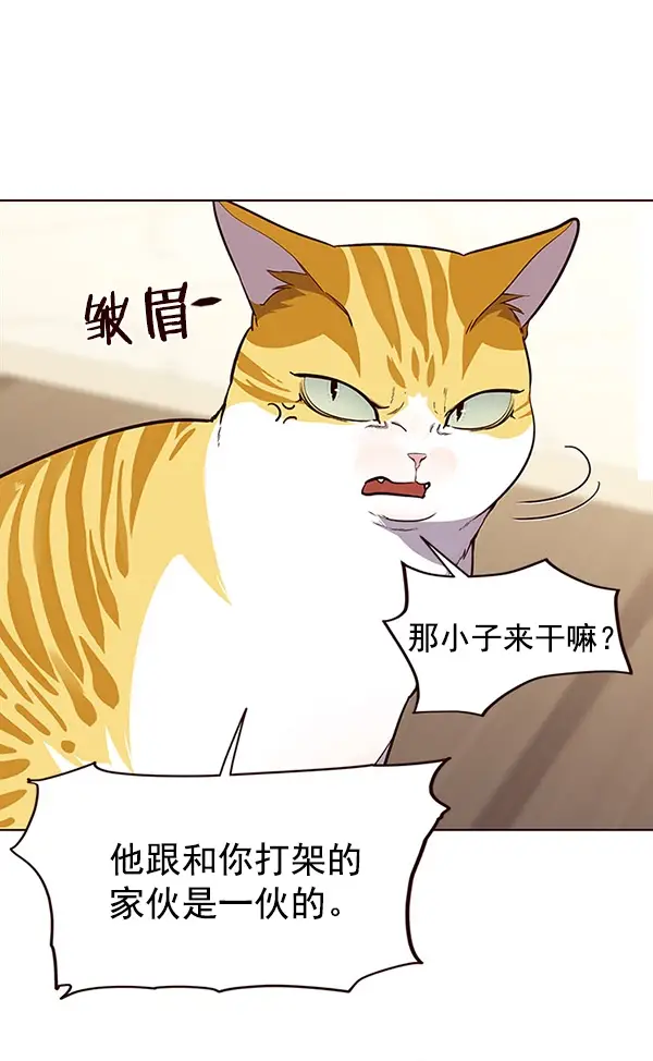 漫画《觉醒吧，铲屎官！》第22话第39张图