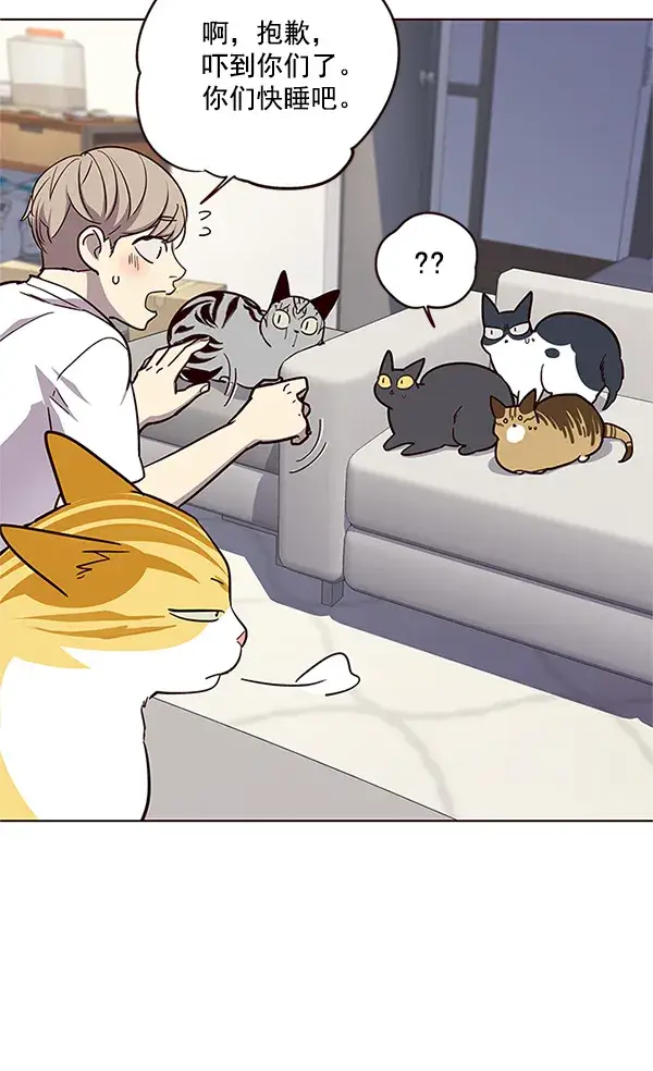 漫画《觉醒吧，铲屎官！》第23话第72张图