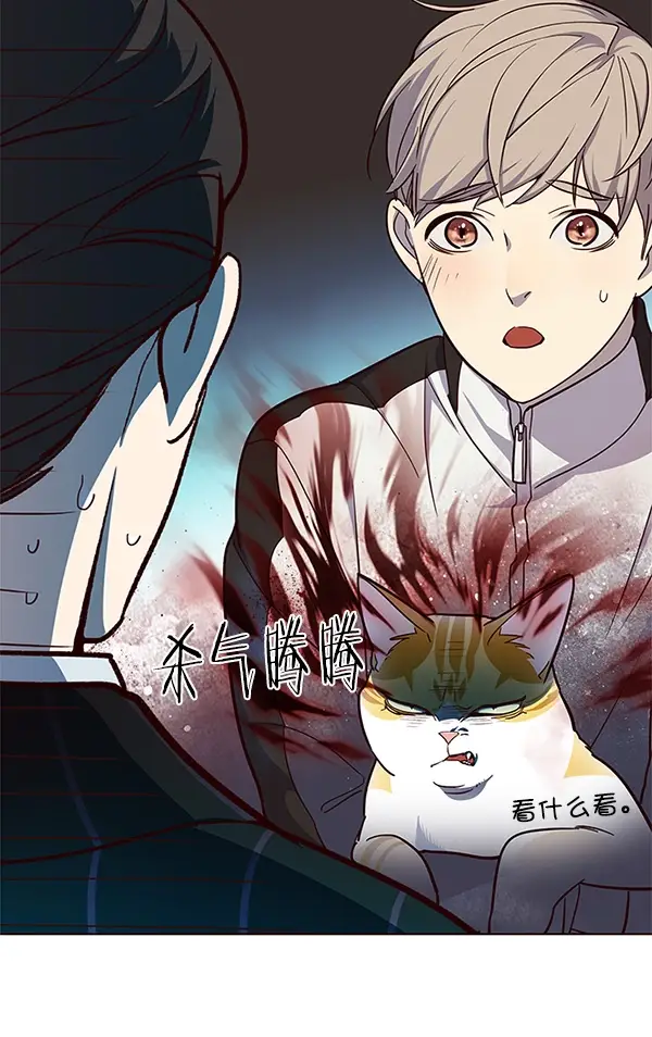 漫画《觉醒吧，铲屎官！》第23话第96张图