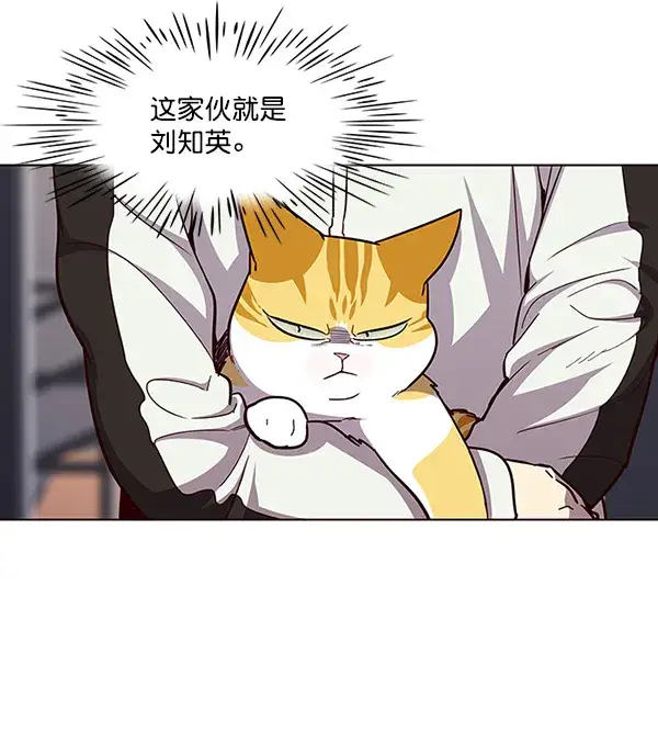 漫画《觉醒吧，铲屎官！》第24话第18张图