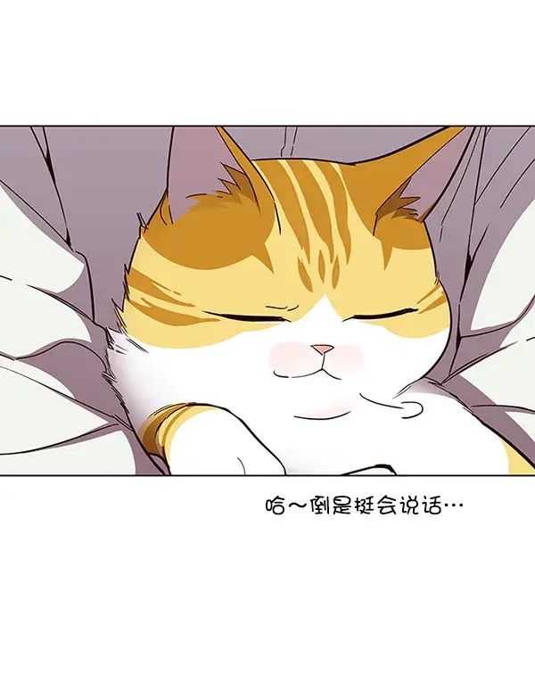 漫画《觉醒吧，铲屎官！》第24话第48张图