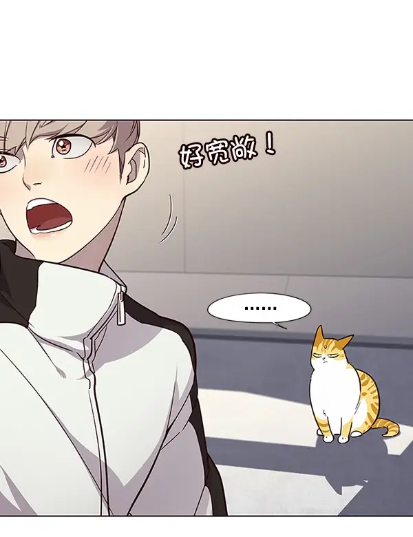 漫画《觉醒吧，铲屎官！》第24话第53张图