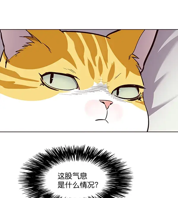 漫画《觉醒吧，铲屎官！》第24话第7张图
