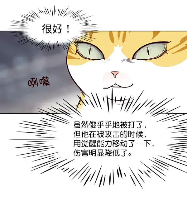 漫画《觉醒吧，铲屎官！》第25话第17张图