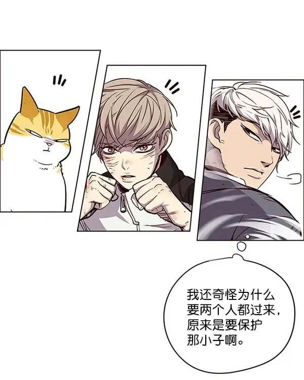 漫画《觉醒吧，铲屎官！》第26话第21张图