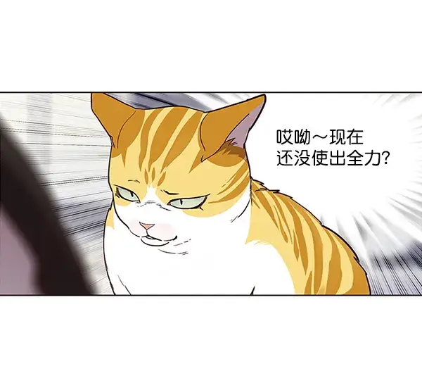 漫画《觉醒吧，铲屎官！》第26话第25张图