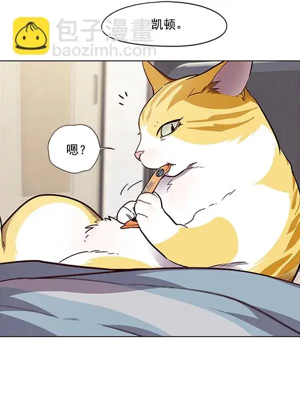 漫画《觉醒吧，铲屎官！》第28话第17张图