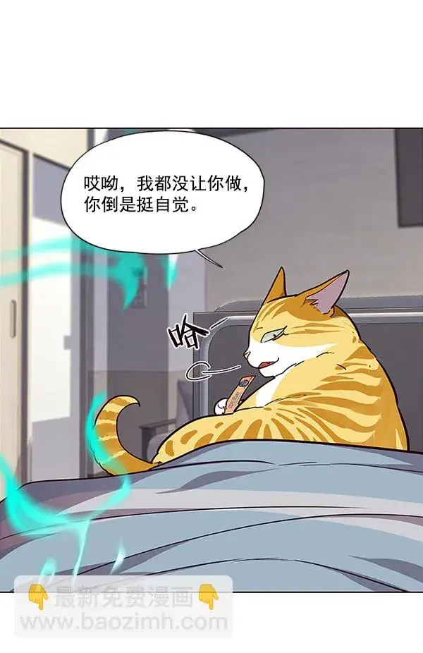 漫画《觉醒吧，铲屎官！》第28话第25张图