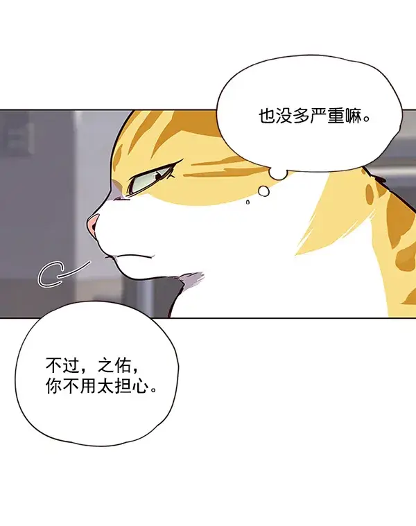 漫画《觉醒吧，铲屎官！》第28话第38张图
