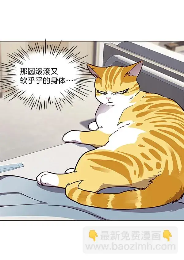 漫画《觉醒吧，铲屎官！》第28话第44张图