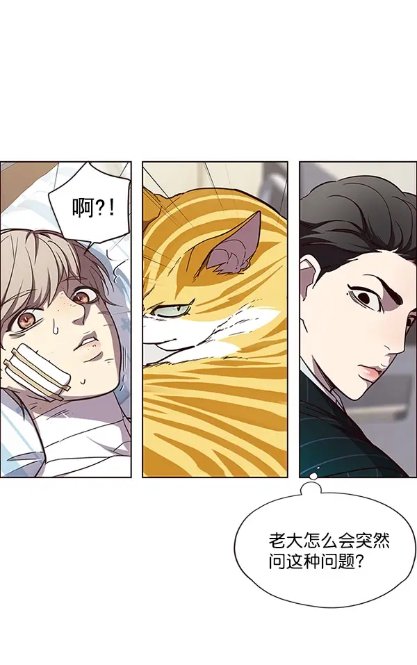 漫画《觉醒吧，铲屎官！》第28话第48张图