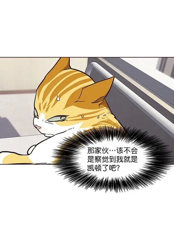 漫画《觉醒吧，铲屎官！》第28话第60张图