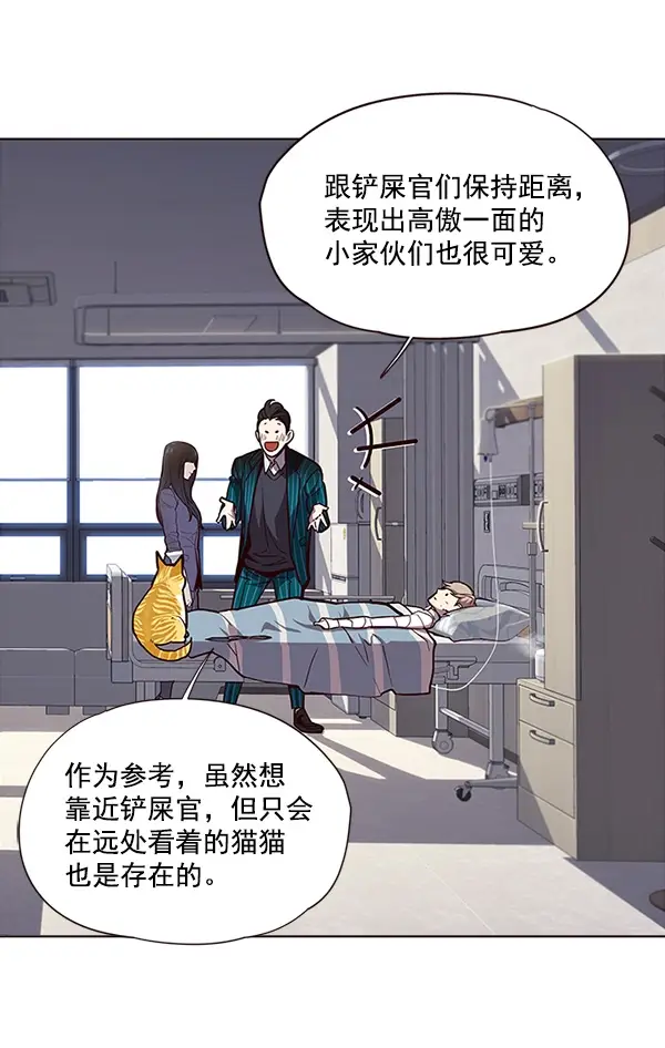 漫画《觉醒吧，铲屎官！》第28话第72张图
