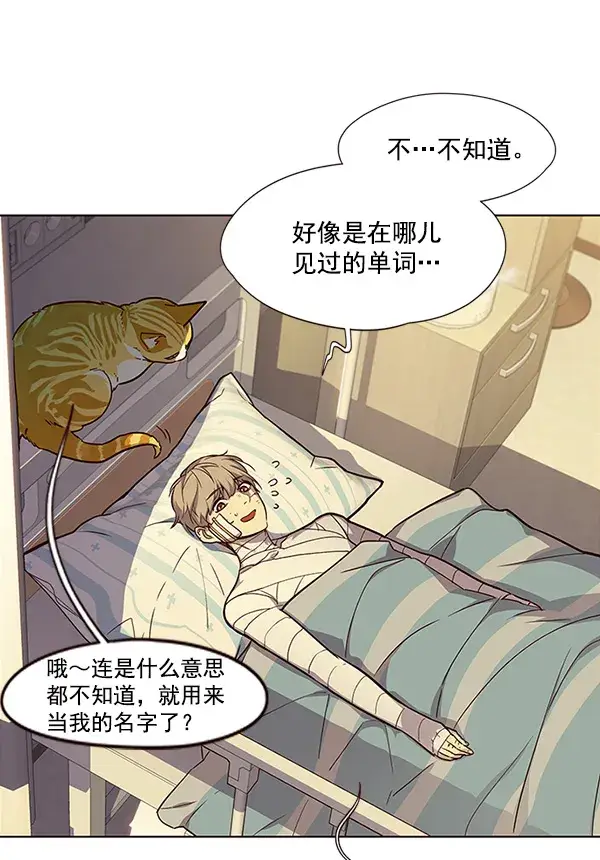 漫画《觉醒吧，铲屎官！》第29话第19张图