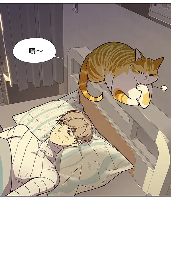 漫画《觉醒吧，铲屎官！》第29话第21张图
