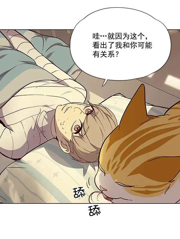 漫画《觉醒吧，铲屎官！》第29话第24张图