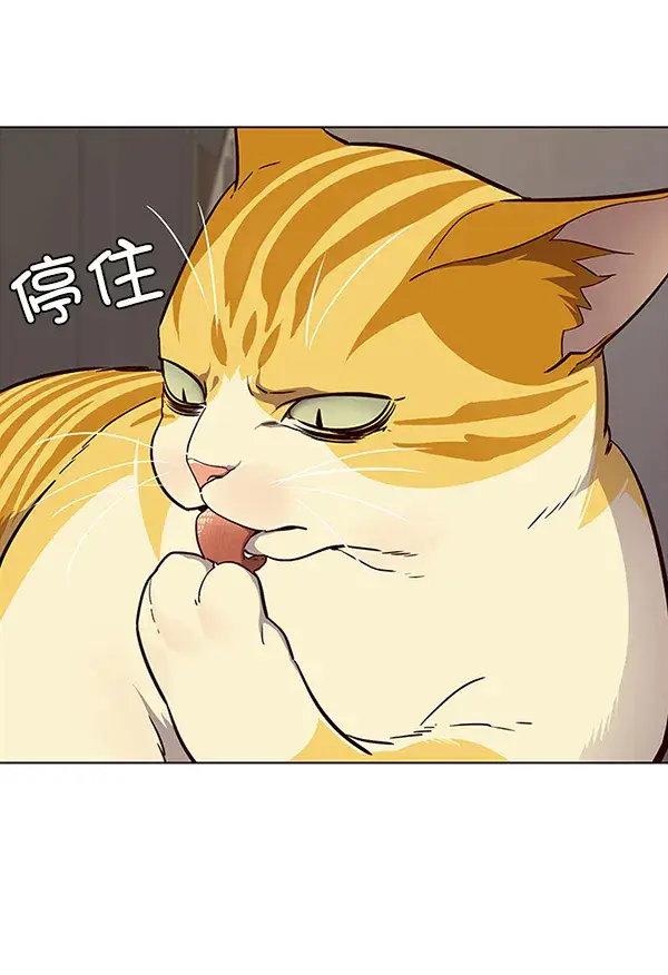 漫画《觉醒吧，铲屎官！》第29话第27张图