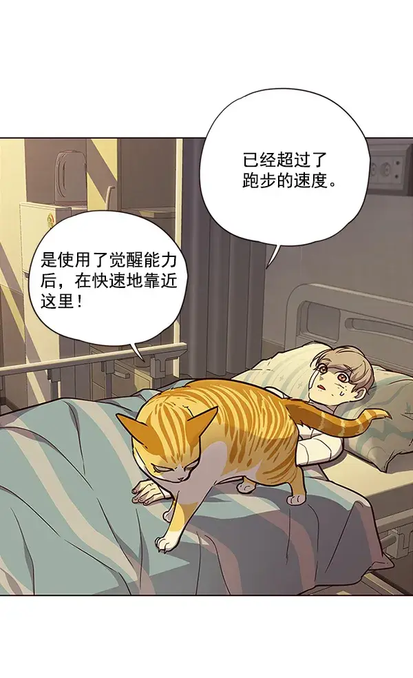 漫画《觉醒吧，铲屎官！》第29话第32张图