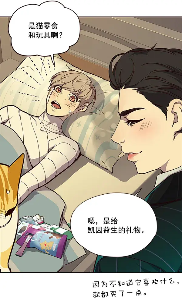 漫画《觉醒吧，铲屎官！》第29话第43张图