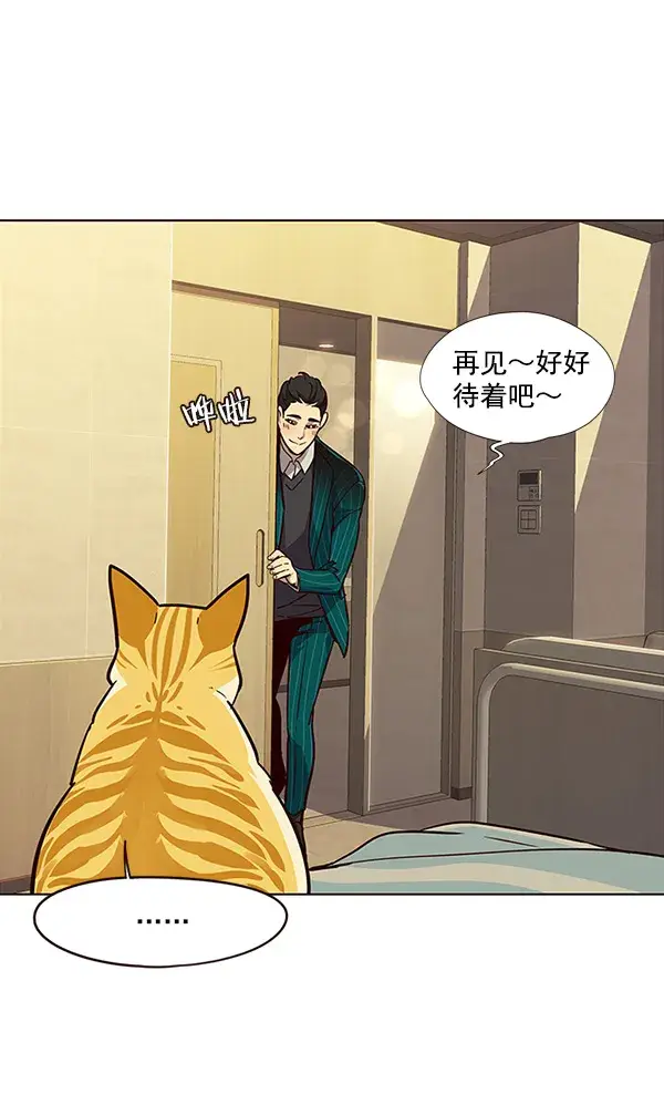 漫画《觉醒吧，铲屎官！》第29话第49张图
